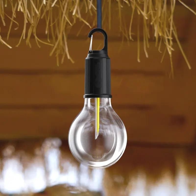 Hanging Bulb Light